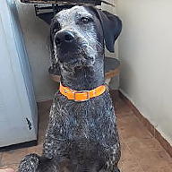 Animals And Me avatar