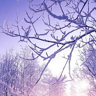 Katulka008009 avatar