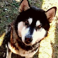 Hana Bridová avatar