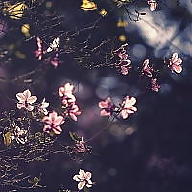 Рецепти avatar