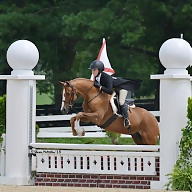 Siobhan Qualtire avatar