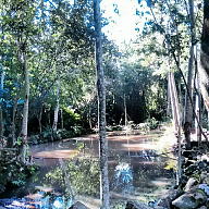 Canal da Mari avatar