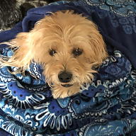 Hunter Eldridge avatar