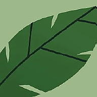 Fern’s Sewing avatar