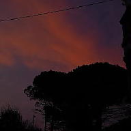 mattiacamisotti avatar