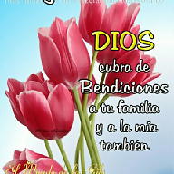 Rebeca albera avatar