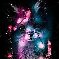 Nikola Lobotková avatar