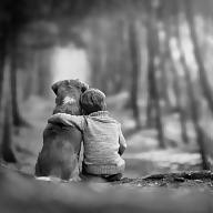 petit dreamerworld avatar