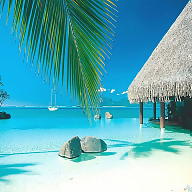 Wilson Fernando avatar