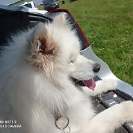 Enfants Olland avatar