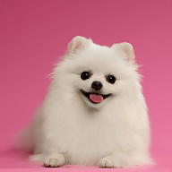 Wiktoria Łozowicz avatar