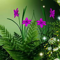 ivana kloudova avatar