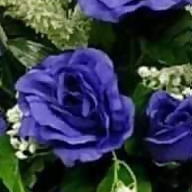 Irina Simina Hutanu avatar