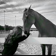 محيط الرعب avatar