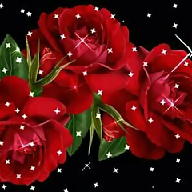 الحوريه الحزينه avatar