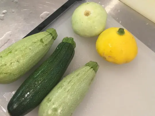 Dice up your summer squash.