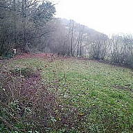 Cucinando🎊 ☕ avatar