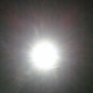 Steven Morales avatar