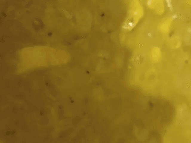 çekip bütünleşinceye kadar ara ara karıştıralım.