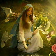 نبضات امي avatar