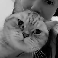 Ελένη Φραγκιαδάκη avatar