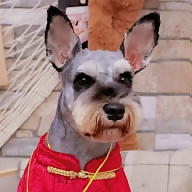 Fabre Sebastien avatar