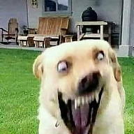 Ochedin Vallanor avatar