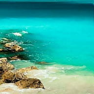 Taarik Abdullah avatar