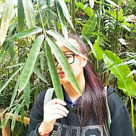 Mobilezeed 285 avatar