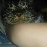 Sabrina_milan avatar