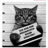 Lisa Weilandt avatar