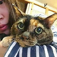 まつおかまりお avatar